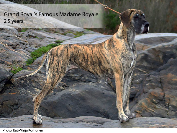 Madame 2,5 years